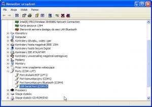 Okno systemowego Menedżera Sprzętu w Windows XP z widocznym USB Serial Portem
