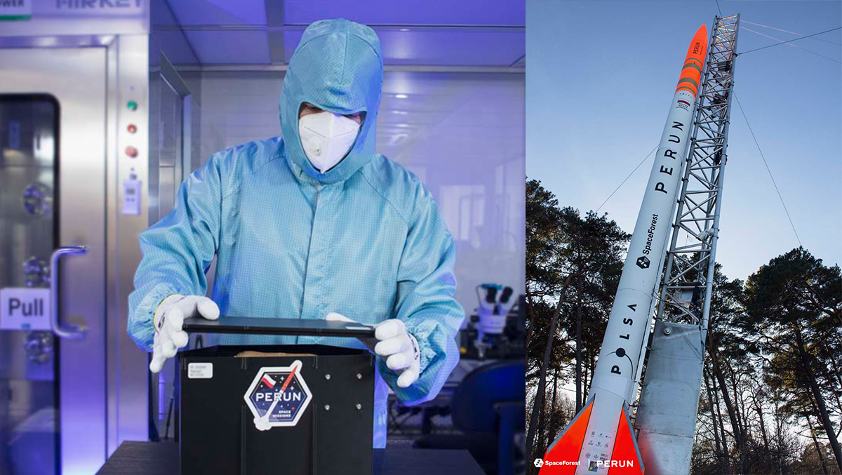 Źródło: SpaceForest