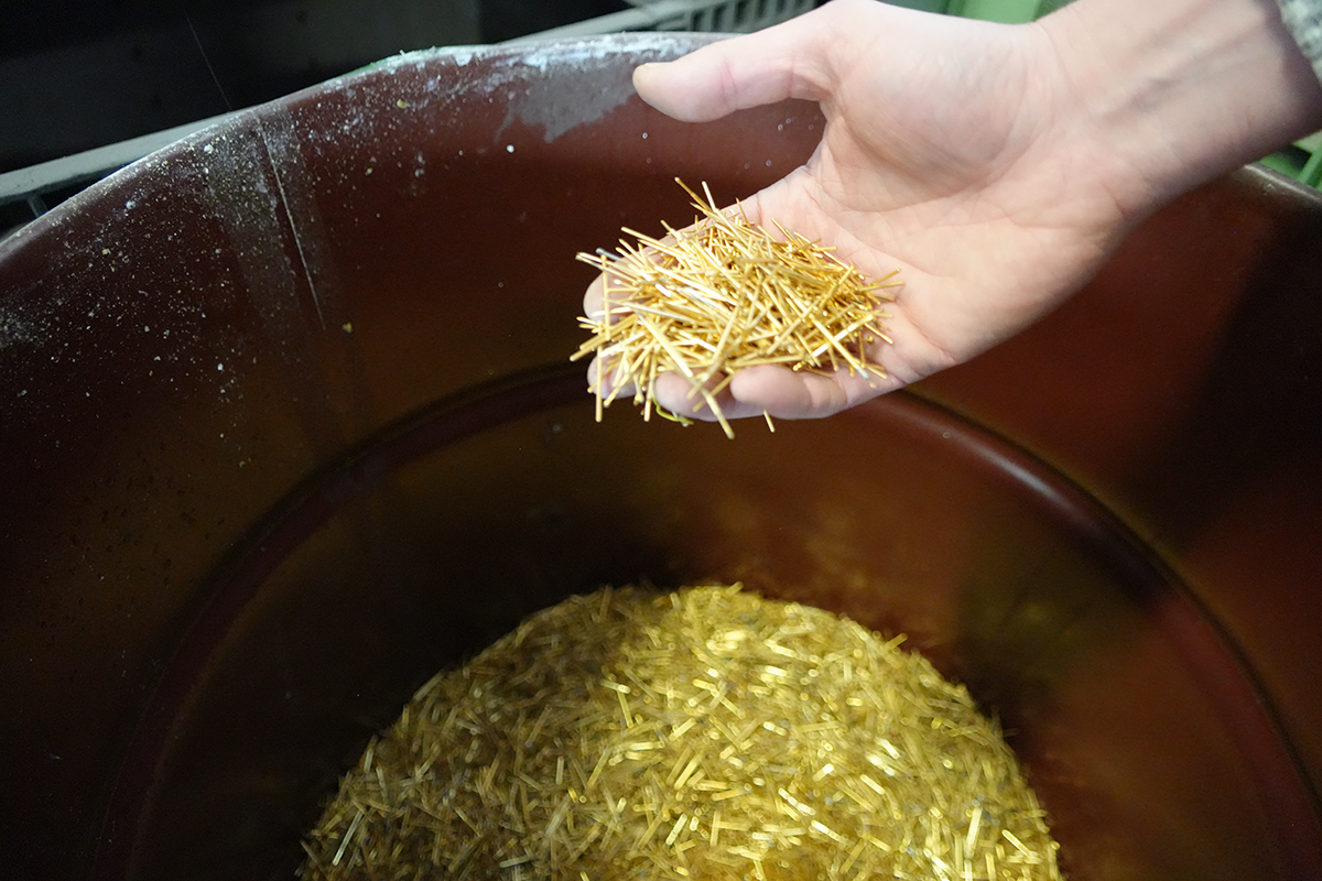 SEM Electronics | fot. Agnieszka Kubasik 