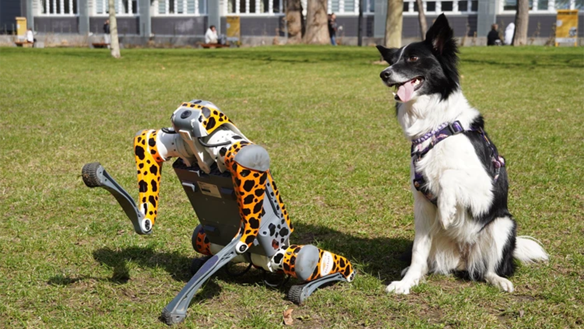 Źródło: Politechnika Wrocławska