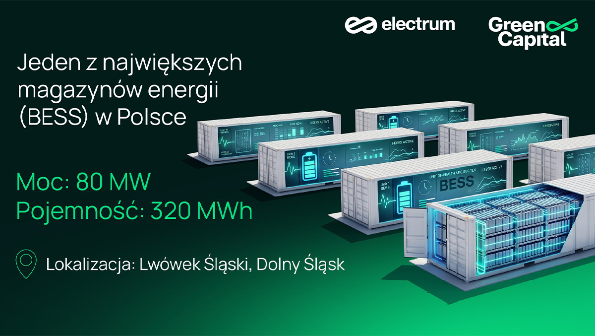 Źródło: Green Capital