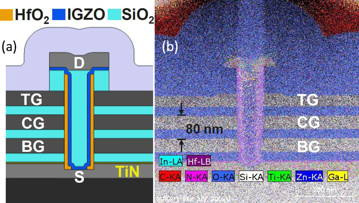 Rysunek 1 – (a) Schemat struktury 3D CCD opartej na 3 liniach słownych: dolna bramka (BG), środkowa bramka (CG) i górna bramka (TG), ze źródłem (S) na dole i drenem (D) na górze; (b) przekrojowy obraz TEM pokazujący 3 warstwy bramek z odstępem między liniami słownymi wynoszącym 80 nm.