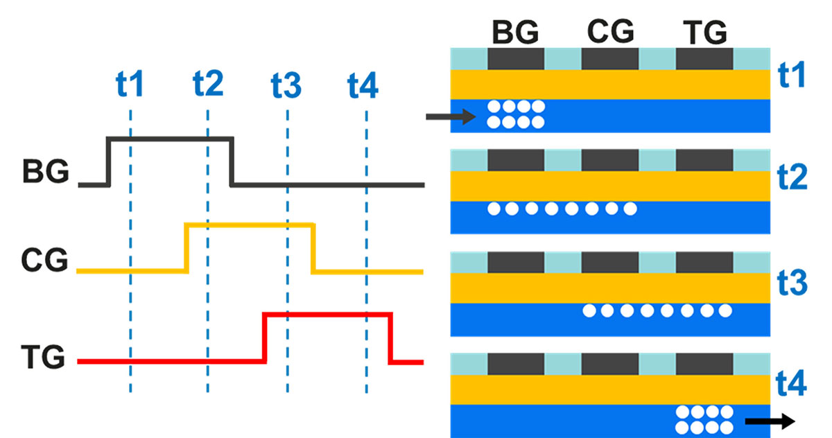 Rysunek 2 – (a) Ilustracja schematu impulsowania w 3 bramkach w celu szeregowego transferu ładunku w pamięci 3D CCD opartej na 3 liniach słów; (b) Schemat działania 3D CCD pokazujący transfer elektronów poprzez tworzenie i przesuwanie studni potencjału pod bramkami.