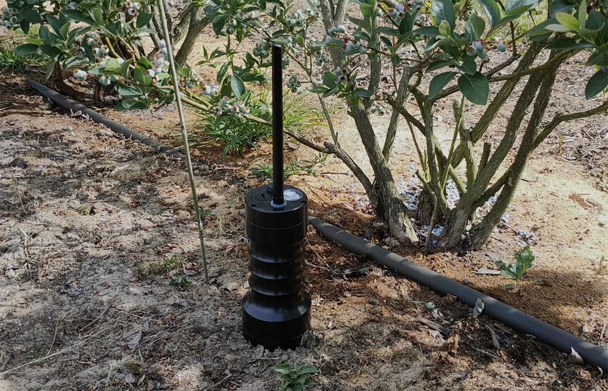 Źródło: Sense Of Soil