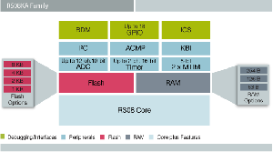 Rys. 1. Schemat blokowy mikrokontrolerów RS08KA