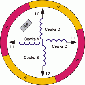 Typowy dwufazowy, bezszczotkowy silnik prądu stałego (BLDC) wykonany jest z wirnika z magnesami trwałymi otaczającego cztery cewki elektromagnesu.
Cewki działają w parach, z cewką A i C tworzącymi jedną fazę oraz cewką B i D tworzącymi drugą.