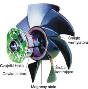 Podstawowa konstrukcja wentylatora
bezszczotkowego: wentylator składa się ze śmigła wentylatora dołączonego do wirnika z magnesami trwałymi. Wirnik otacza zarówno uzwojenia stojana, 
jak i 
elektroniczny układ sterowania.