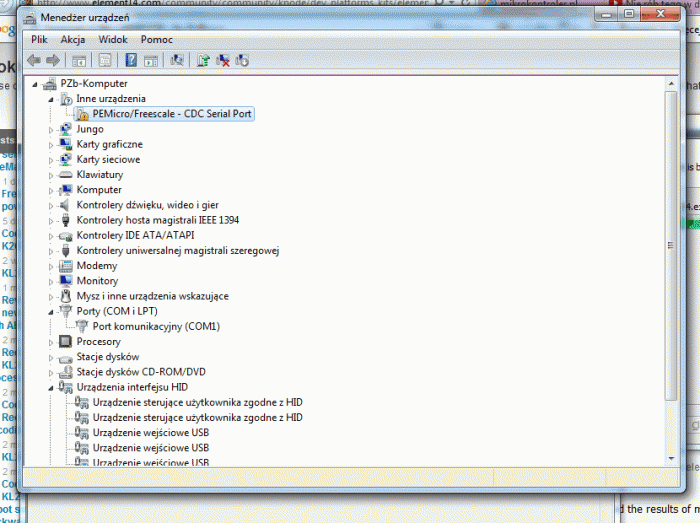 Rys. 4. Widok Menedżera Urządzeń w Windows 7 przed zainstalowaniem sterowników dla wirtualnego COM zestawu FREEDOM KL25Z
